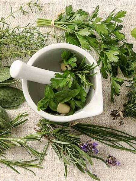 wonder-herbs-for-health-main
